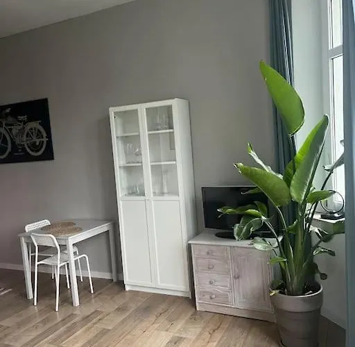 Apartment Na Chopina *